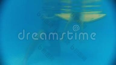 儿童脑瘫的水康复程序。 一个孩子潜入水中，从水里抓起一个玩具